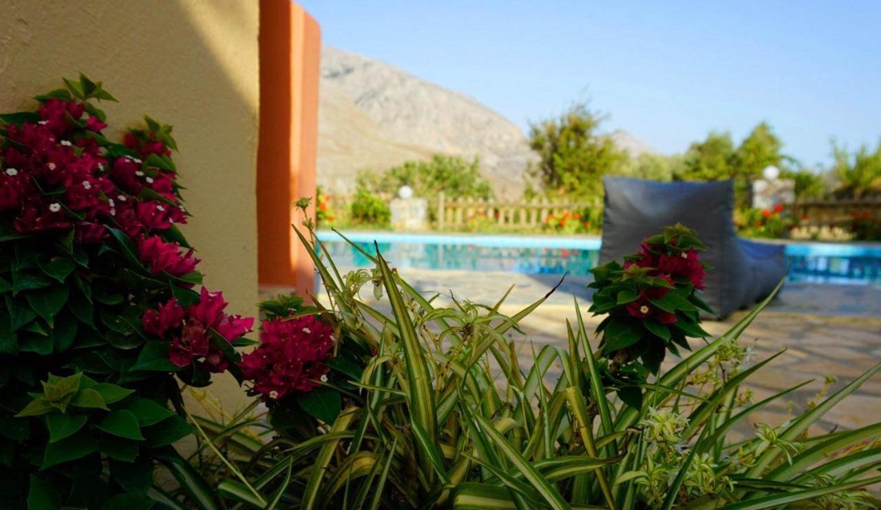 Lefkogeia Villa Despina 1 Plakias Private Villa, Private Swimming Pool Garden,Amazing View מראה חיצוני תמונה